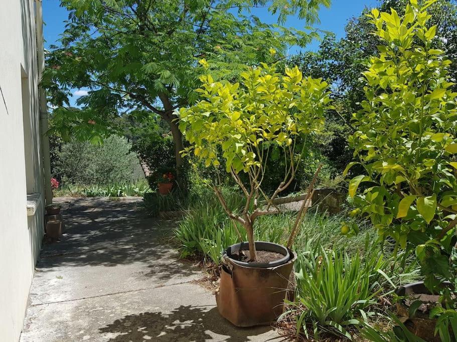 Villa La bellevue Nimoise à Nîmes Extérieur photo